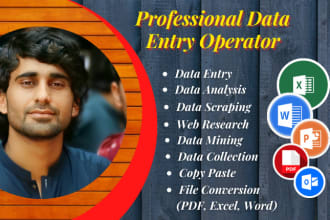 do data input, data extraction, email collection, data entry and web research