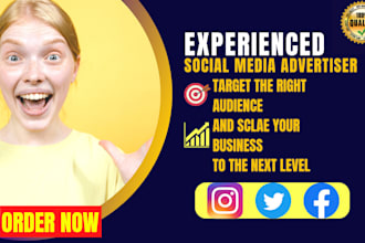 run shopify facebook ads campaign,do fb marketing,instagram ads expert