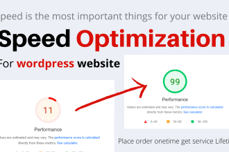 do wordpress speed optimization, speed up wordpress, speed boost, pagespeed