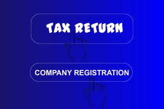 prepare business or individual income tax returns fbr pakistan