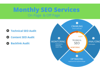 create a professional SEO audit  report for your website