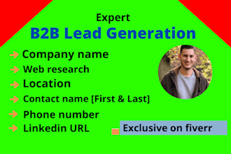 do b2b lead generation, linkedin lead, and data entry