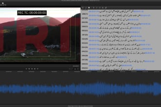 do srt and sdh subtitles english urdu turkish