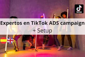 setup and manage tiktok ads campaign, tiktok ads