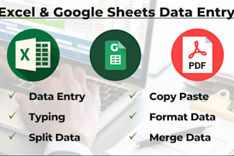 be your excel data expert copy paste and typing