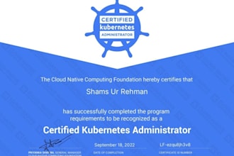 design, build, and optimize docker and kubernetes solutions for you