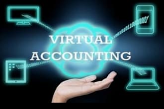 be your virtual cfo