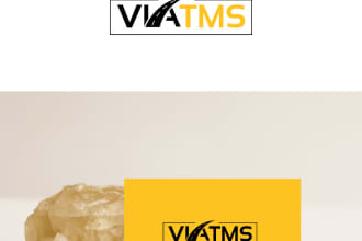 design a travel and transportation logo in 1 day