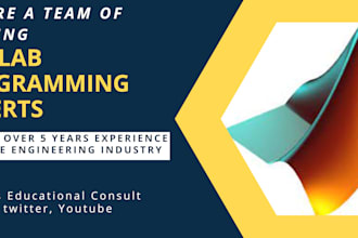 be your matlab programming  expert