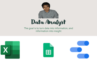 do data analysis using microsoft excel and google sheets
