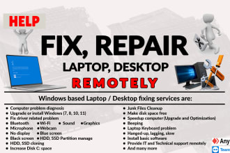 fix, repair laptop, desktop problem or provide it support remotely