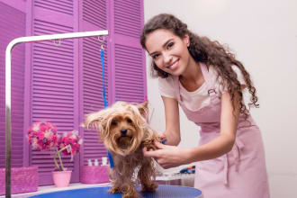 write pet spa, pet grooming, pet care startup business plan