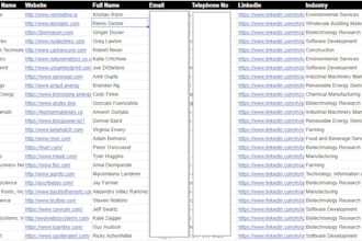 provide b2b saas lead generation