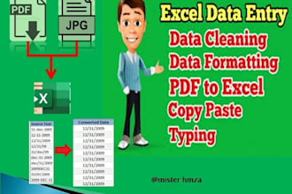 do excel data cleaning, data entry, formatting and formulas