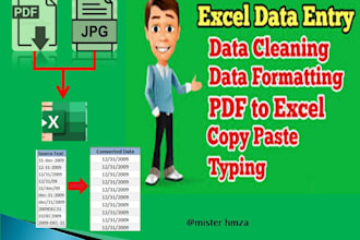 clean, organize, merge, convert and format excel or CSV data
