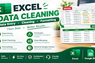 do excel data cleaning, data entry, formatting and formulas