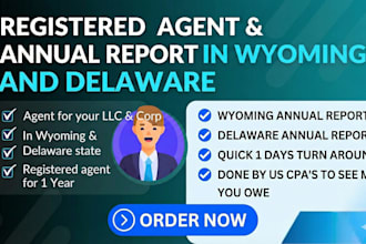 file annual report , be registered agent in wyoming and delaware as a US CPA