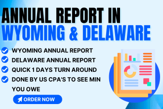 file annual report in wyoming state and delaware as a US CPA