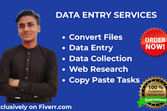 do fastest data entry, data formatting, copy paste, typing
