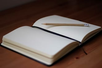 write blogs, review articles, and literary writings for you