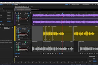do audio editings and etc