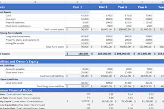 do financial analysis, ratio analysis, and make cash flows