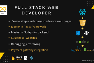 your front end react js developer , back end developer or full stack developer