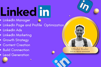 be your linkedin page manager and optimize your profile