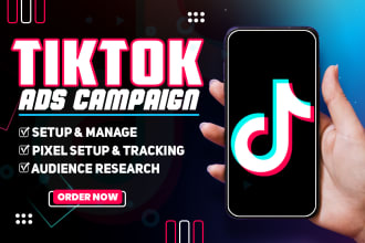 run and manage tiktok ads campaign, tiktok ads, tiktok advertising, shopify ads