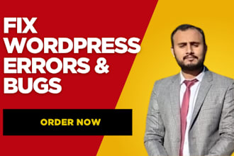 fix wordpress issues, design errors and customization