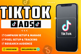 create run and manage tiktok ads campaign, tiktok ads, tiktok advertising