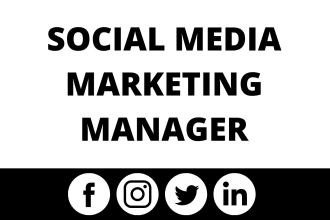 be your social media manager