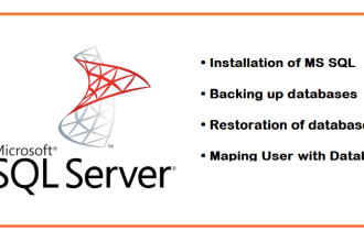 install and configure ms sql server