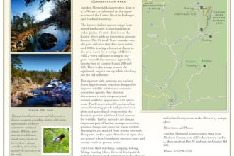 design an annual report, newsletter or brochure