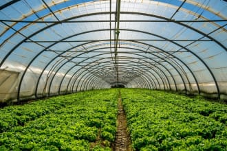 develop a investor ready greenhouse farming business plan