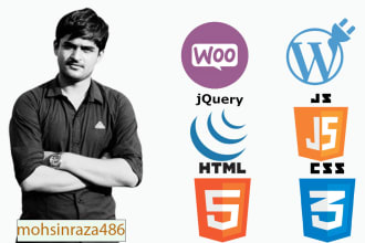 develop and customize wordpress and woocommerce plugins and custom functionality