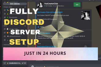 make a professional discord server within 24 hours