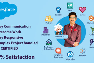 be your salesforce admin, developer and salesforce implementation