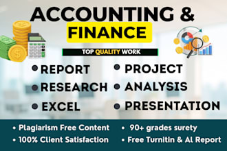 do accounting, finance, excel model, assignment, financial analysis report