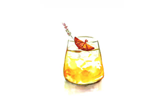 do stylish cocktail and drink illustrations