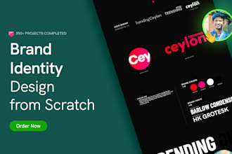 design a professional brand identity design from scratch