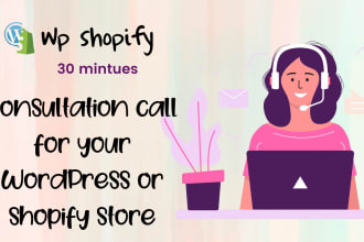 do a consultation call for your wordpress or shopify store