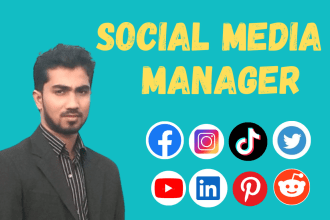 be your social media manager for social media marketing