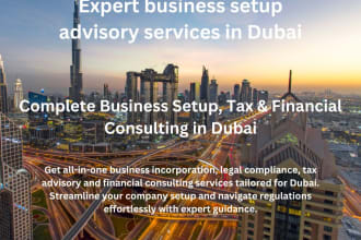 provide consulting  setup business in dubai