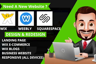 develop a professional wix website and ecommerce websites