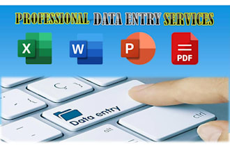 do data entry ms excel word document and copy paste job