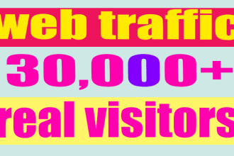 send 30,000 USA website traffic real visitors Ndiwano