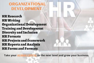 provide HR consulting and human resource management services