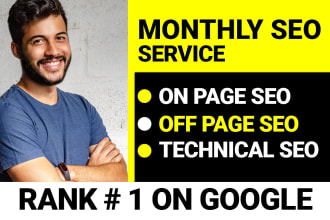 provide on page off page technical wordpress shopify wix website SEO service