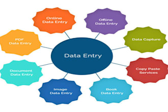 do accurate and fastest data entry